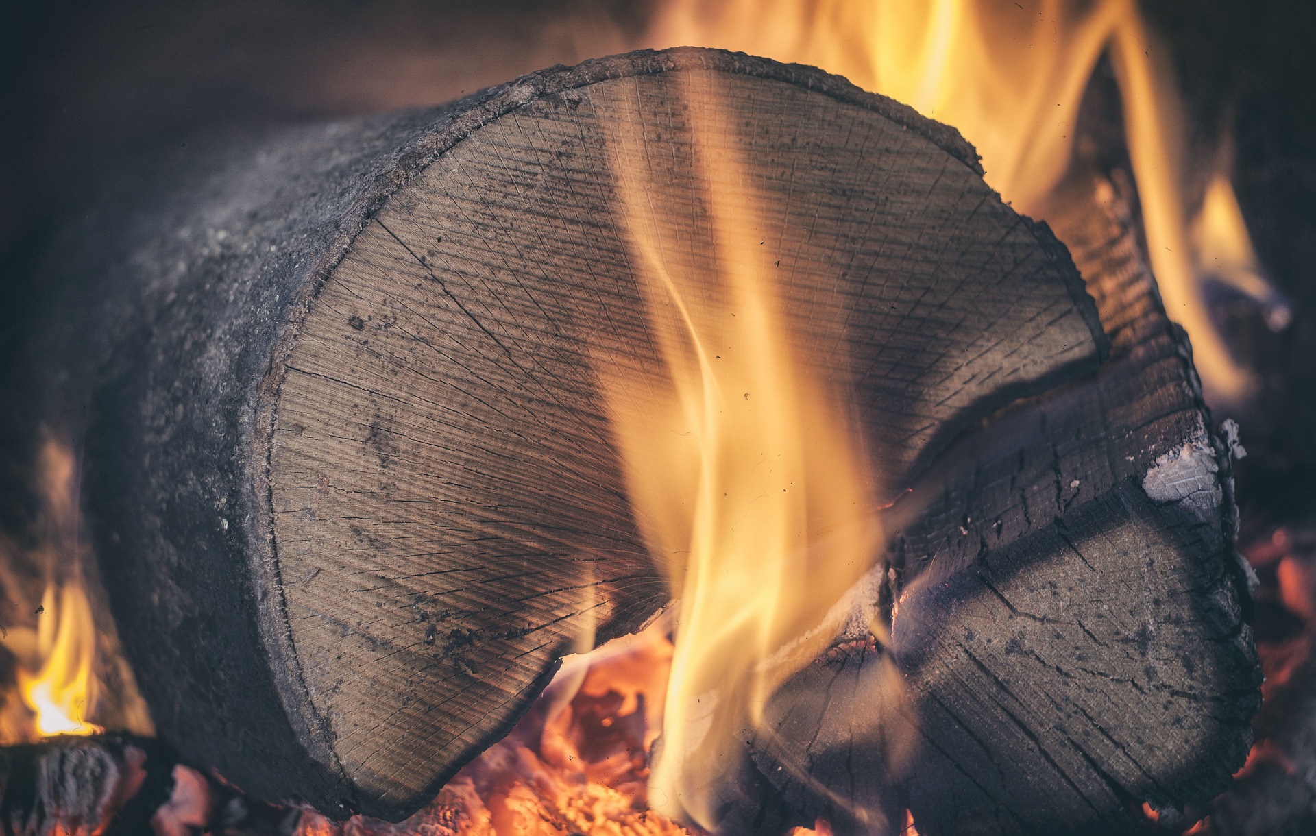 Drewno kominkowe: czym palić w kominku?